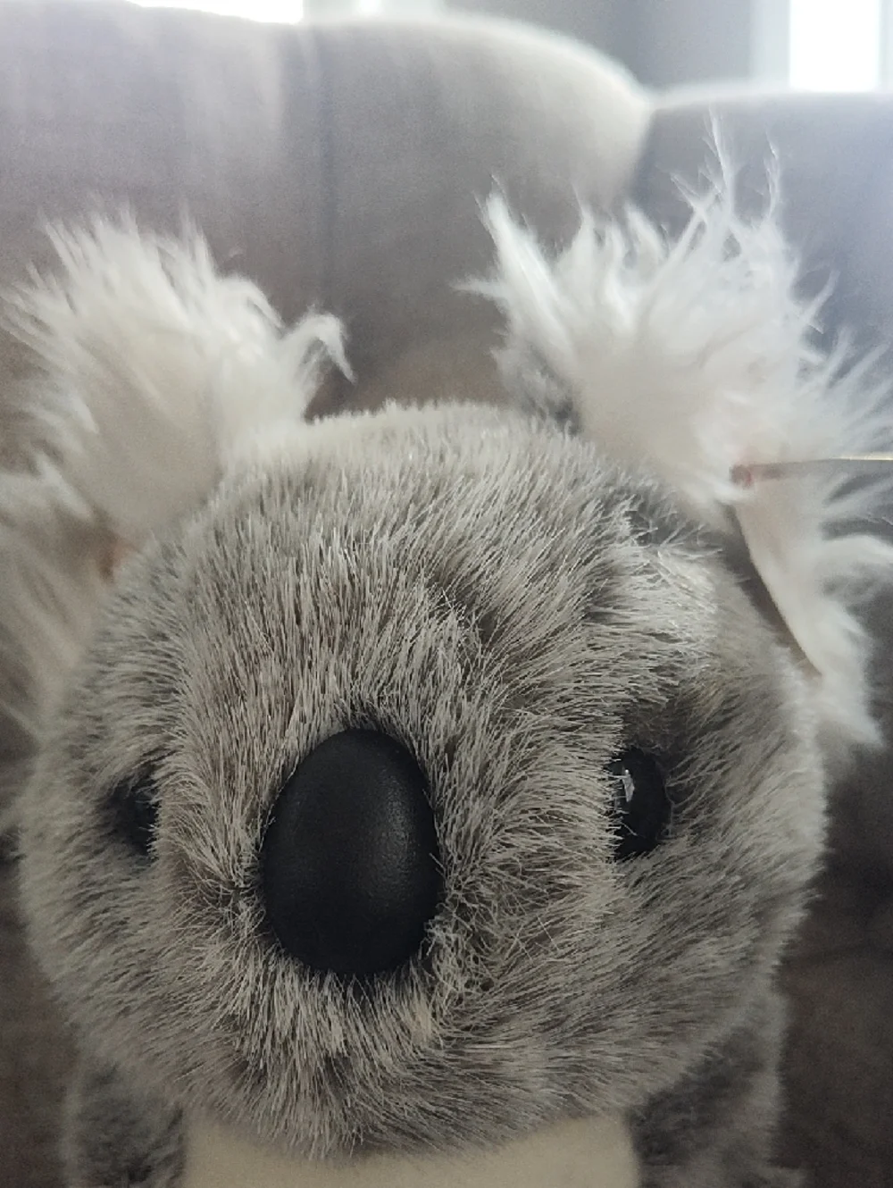 Ty Company Beaut, The Gray and White Plush Beanie Koala Stuffed Animal